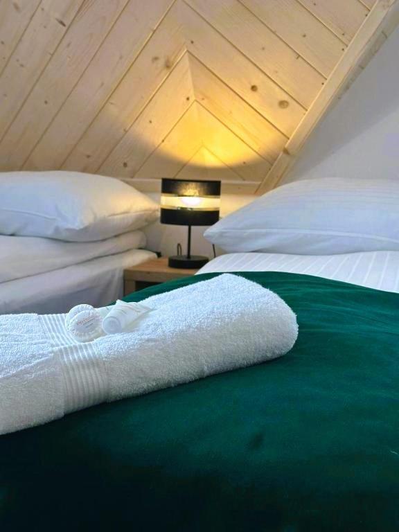 Apartamenty Gorskie Widoki Poronin Esterno foto